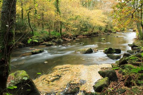 Et Au Milieu Coule Une Rivière