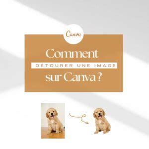 Comment D Tourer Une Image Sur Canva Cours En Ligne Canva