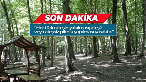 BOLU DA BELİRLENEN YERLER DIŞINDA ORMANA GİRMEK YASAKLANDI Manşet 14