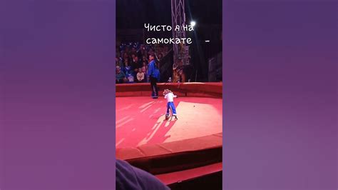 #смокат - YouTube