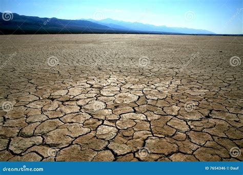 Thirsty In The Desert Royalty Free Stock Image - Image: 7654346