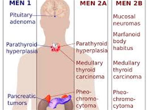 MRCP Endocrinology Flashcards Quizlet