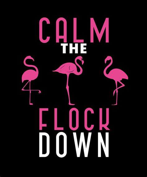 Calm The Flock Down Pink Flamingo Summer Gift Digital Art By Macana