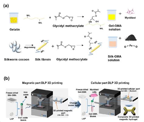 Illustrations For The Fabrication Of Magnetic Hydrogel A Synthetic