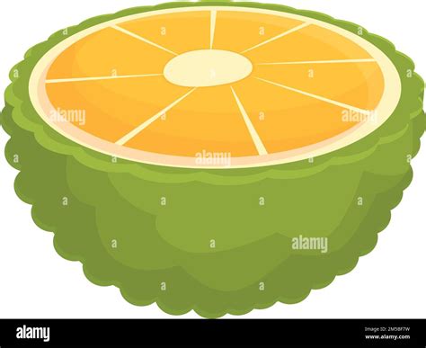 Cutted Jackfruit Icon Cartoon Vector Summer Fruit Green Tropical