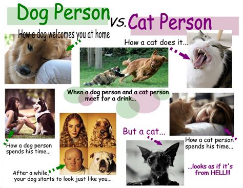 Dog Person vs. Cat Person | Visual.ly