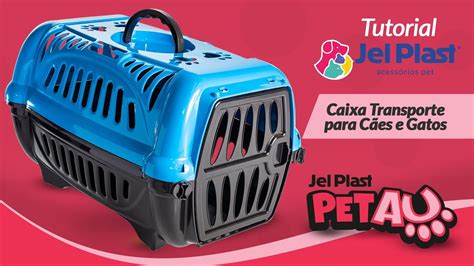 TUTORIAL CAIXA TRANSPORTE PARA CÃES E GATOS JEL PLAST YouTube