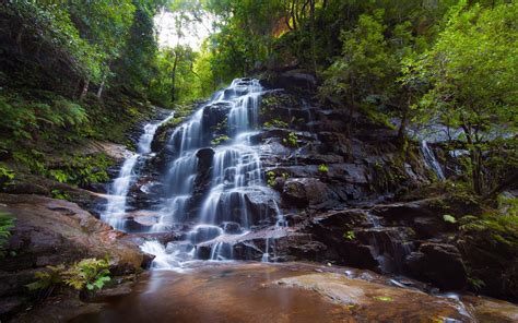 Download Wallpapers Waterfall Rock Forest River Green Trees Forest Waterfall For Desktop