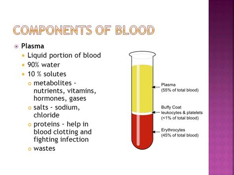 The Liquid Portion Of Blood Plasma