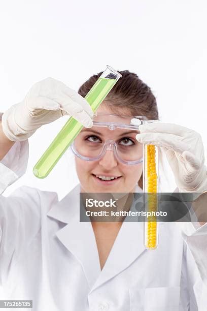 Gmo 옥수수 실험 Stem 주제에 대한 스톡 사진 및 기타 이미지 Stem 주제 갈색 머리 개념 Istock