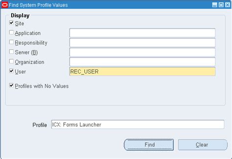 Setup Profile Settings For Oracle Ebs 1224 Data Loader