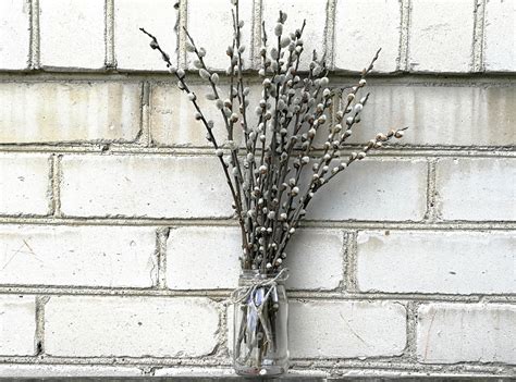 Dried Pussy Willow Branches Natural Flower Arrangement Etsy