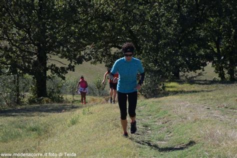 Castelvetro Un Settembre Ricco Di Eventi Avis Provinciale Modena