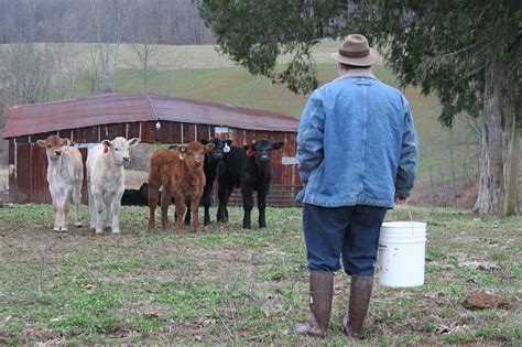 Farmwife at Midlife -: My Farmer, Outstanding in His Field (and out sitting, too)