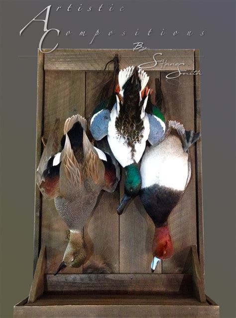 Shoveler Mounts Waterfowl Taxidermy Upland Taxidermy Duck