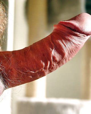 LET ME SUCK YOUR TRANNY COCK X Porn Pictures XXX Photos Sex Images 71221 PICTOA