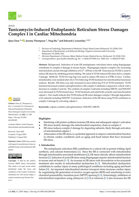 PDF Tunicamycin Induced Endoplasmic Reticulum Stress Damages Complex