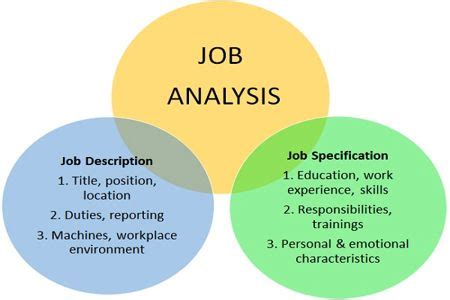 Job Specifications Vs Job Description Whats The Difference