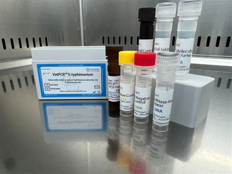 Salmonella Enterica Serovar Typhimurium Detection Kits Pcr Kit