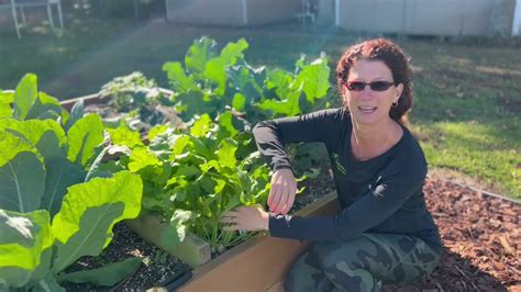 Garden Tip How To Harvest Turnips And Their Greens Youtube