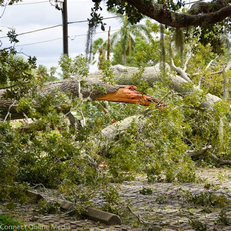 Hurricane Irma aftermath-32 - Safety Harbor Connect