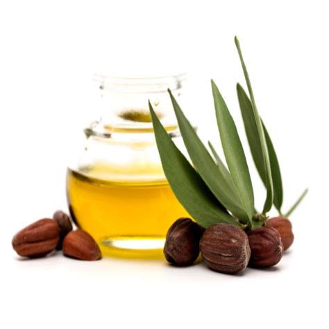 Buy Bulk Jojoba Oil Golden Organic Jedwards International