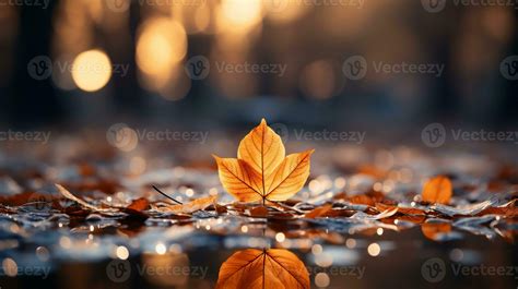 Autumn Scene with Vibrant Maple Leaf Background, Stunning Seasonal ...