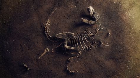 New Dinosaur Extinction Event Details Uncovered In North Dakota