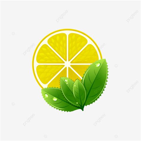 Lemon Slice With Leaf Vector Art Isolated Food Fruit Lemon Png And