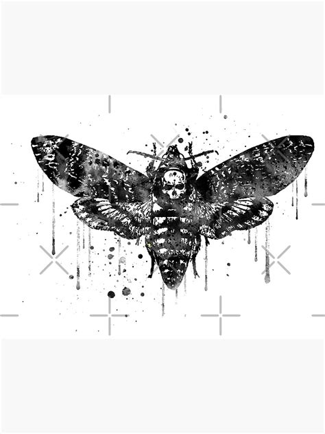 "Deaths Head Hawk Moth" Art Print by Rosaliartbook | Redbubble