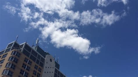 Waterloo Region weather: mix of sun and cloud, high 21 C | CBC News