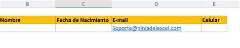 Como Validar El Correo Electr Nico En Excel Paso A Paso Ninja Del Excel