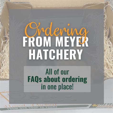 Place Your 2025 Chick Order Now! | Meyer Hatchery Blog