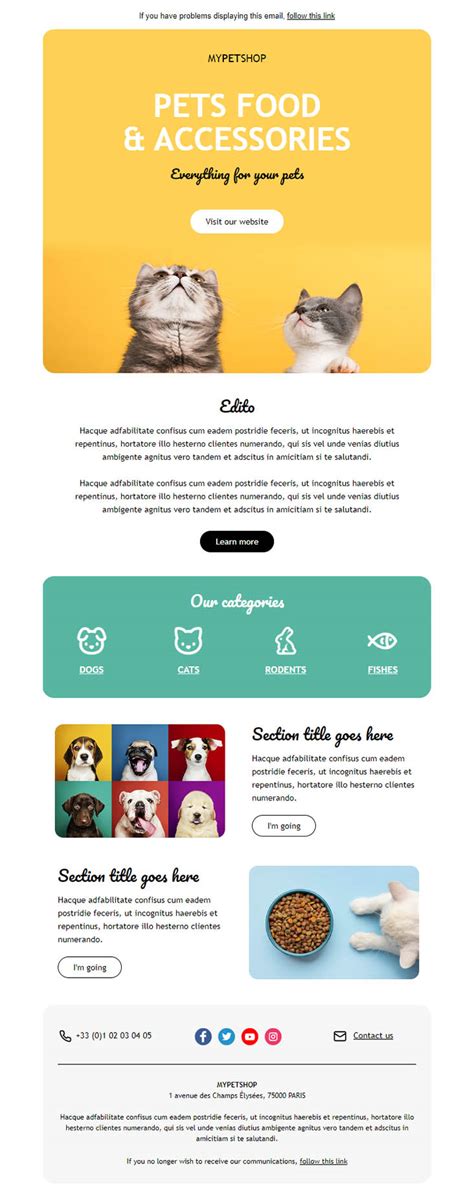 Pet Store Exemple Emailing Gratuit T L Charger