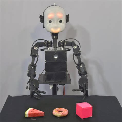 Neuro Inspired Companion Robot Nico In The Object Learning Scenario