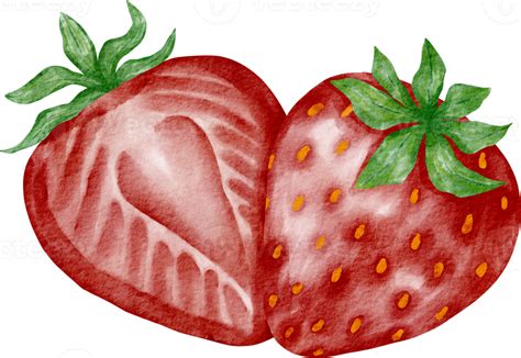 Watercolor Strawberry Fruit 16539732 Png