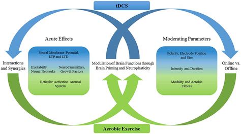 Frontiers A Review Of Acute Aerobic Exercise And Transcranial Direct