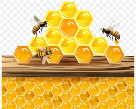 Clipart Honey Bee Hives