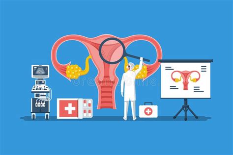 Arts Onderzoekt Uterus Met Vergrootster Diagnose Vrouwelijk