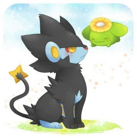 Luxray Wiki Pokémon Amino