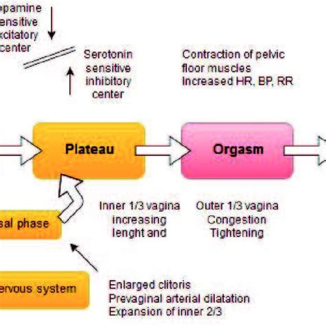 Female Sexual Response Telegraph