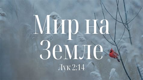 “Мир на земле" | Владимир Мицук - YouTube