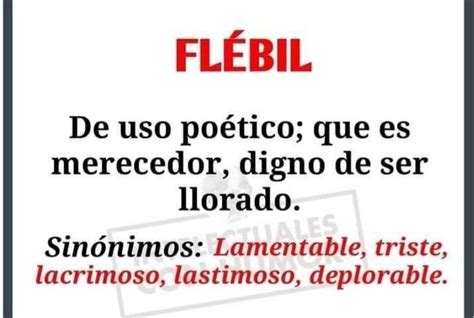 A Sign In Spanish That Says Flebil And The Words Below It