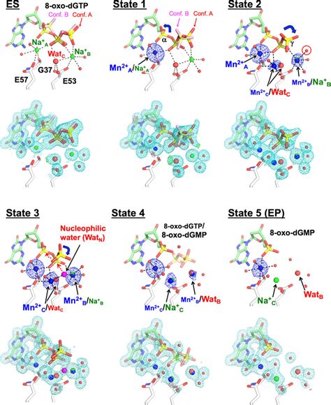 Structures And Electron Density Maps Of Es And States 1 To 5 Ep