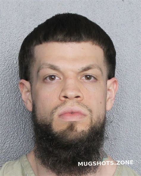 Gonzalez David Broward County Mugshots Zone