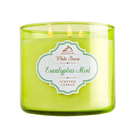 Bath Body Works Eucalyptus Mint Wick Candle Scented Candles For