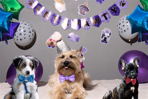 Top Amazing Dog Birthday Party Ideas to Celebrate in Style