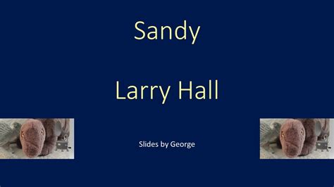 Larry Hall Sandy Karaoke Youtube