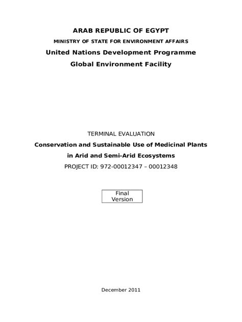 Final Evaluation Undp Info Undp Doc Template Pdffiller