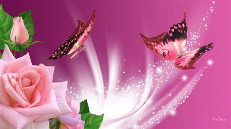 🔥 [50+] Butterflies and Roses Wallpapers | WallpaperSafari